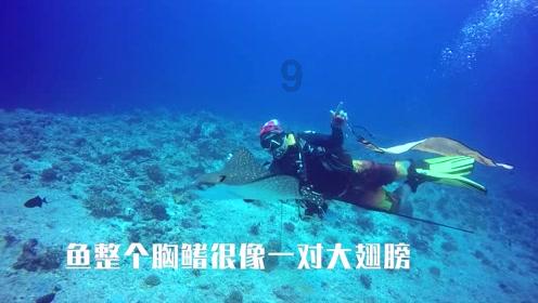 燃烧吧大脑装瓶子游戏